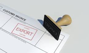 Immigration Support